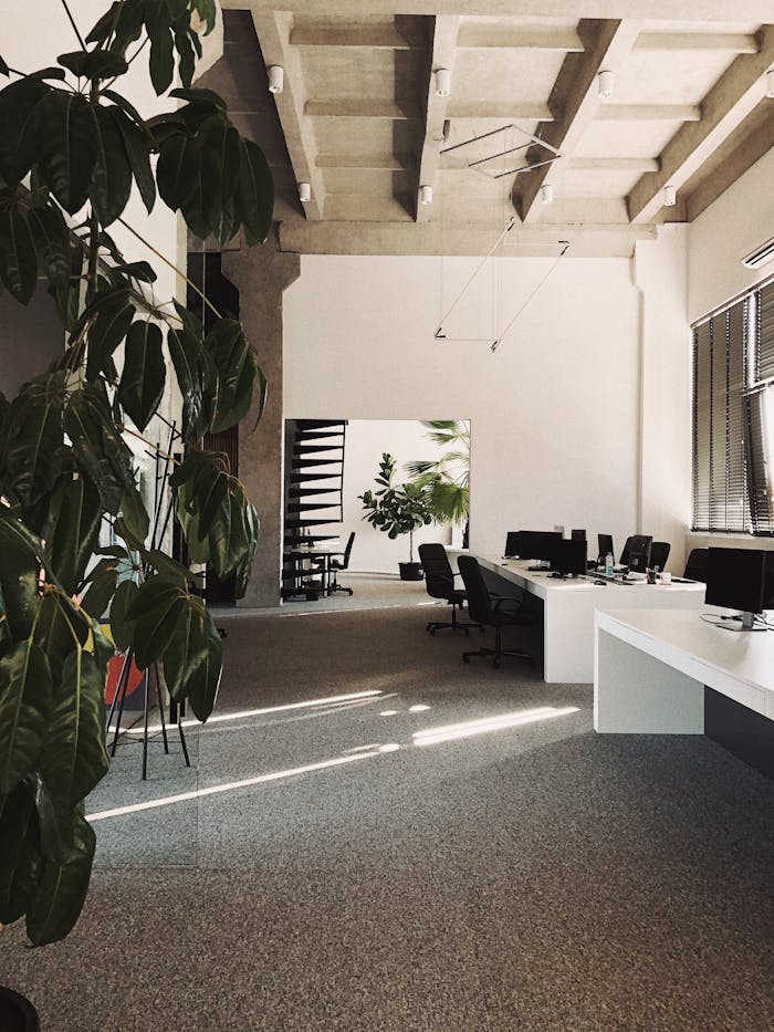 A minimalist office space featuring desks, chairs, and indoor plants for a modern work environment.